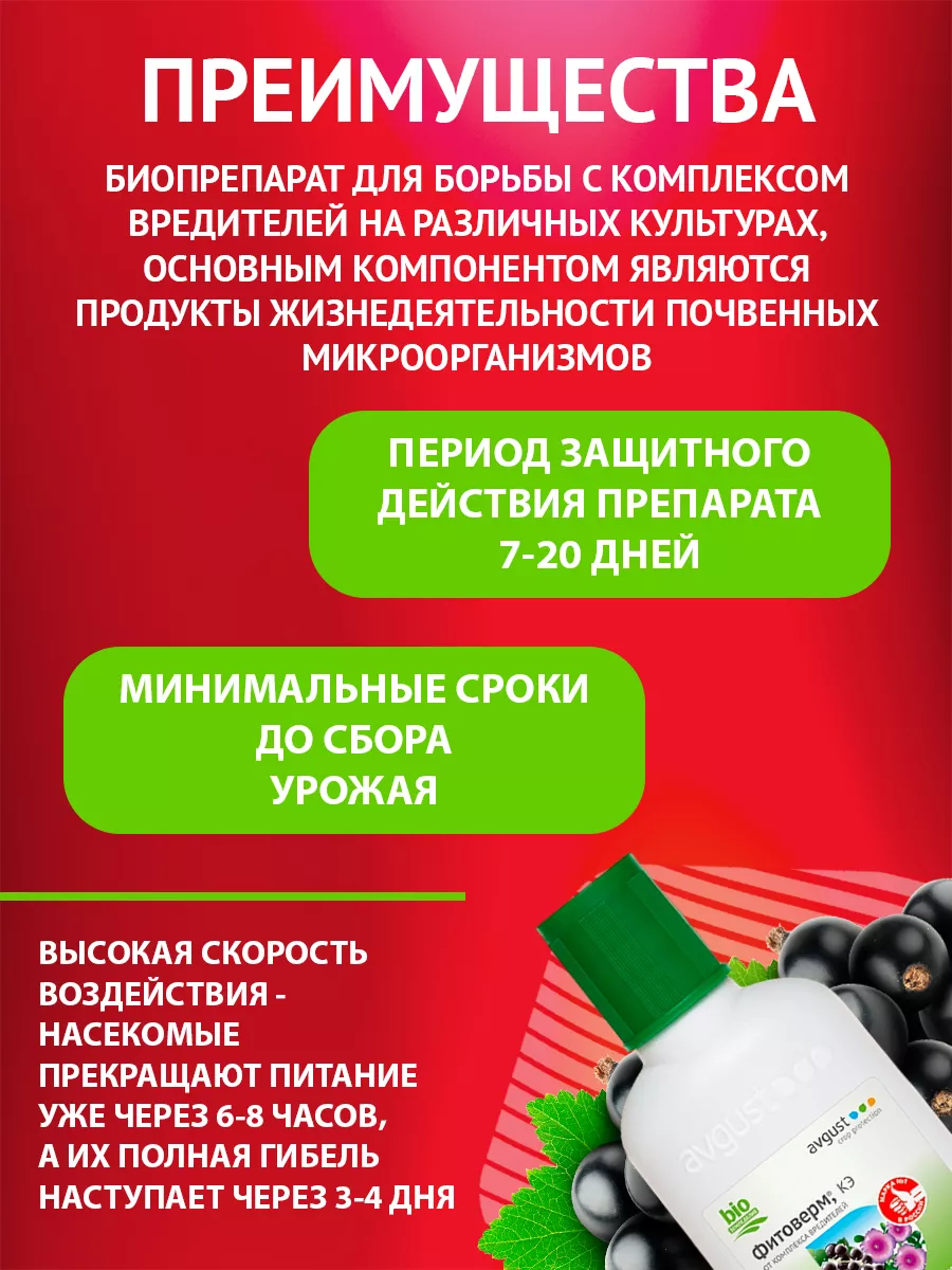 Как убрать следы насекомых с машины? Лайфхаки автомобилистов