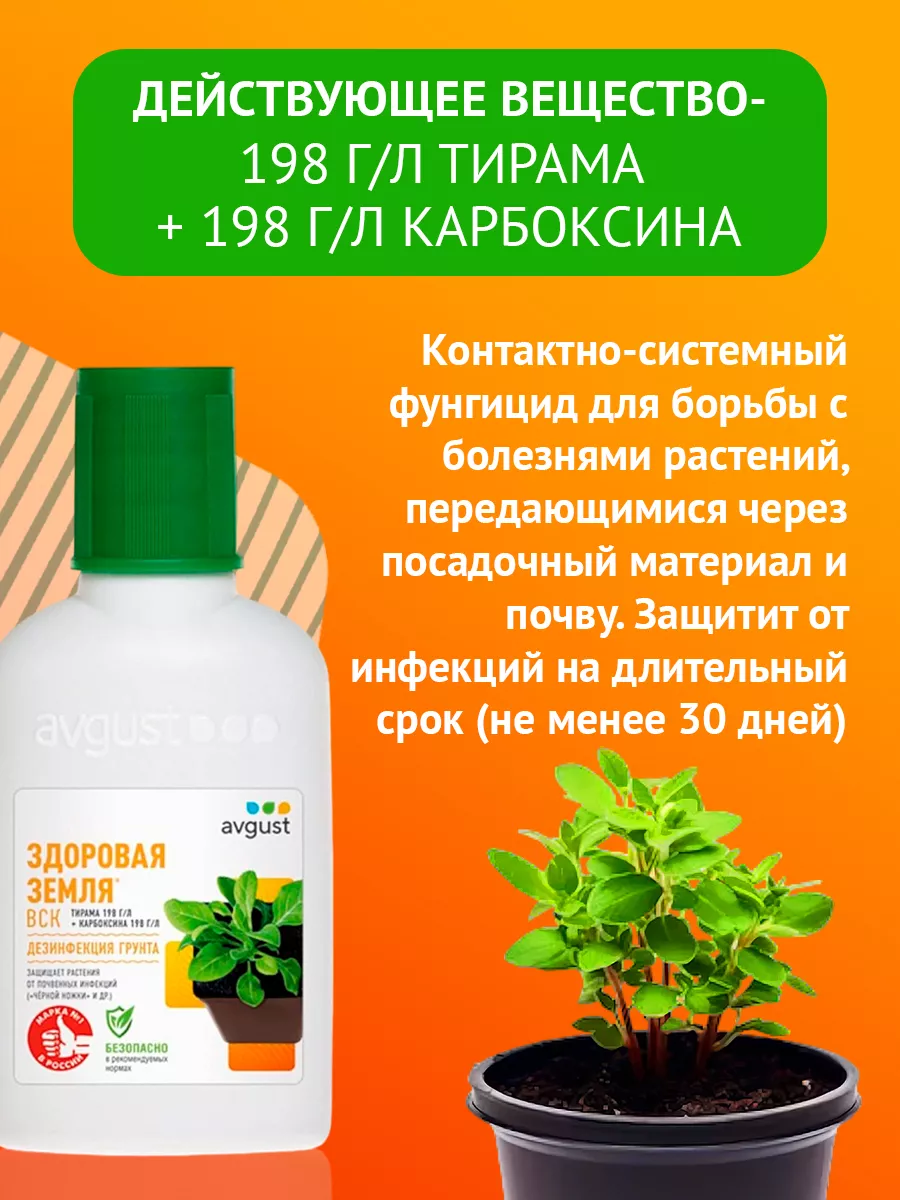 Лечащий фунгицид Здоровая земля, 50мл Август AVGUST 9243905 купить за 226 ₽  в интернет-магазине Wildberries