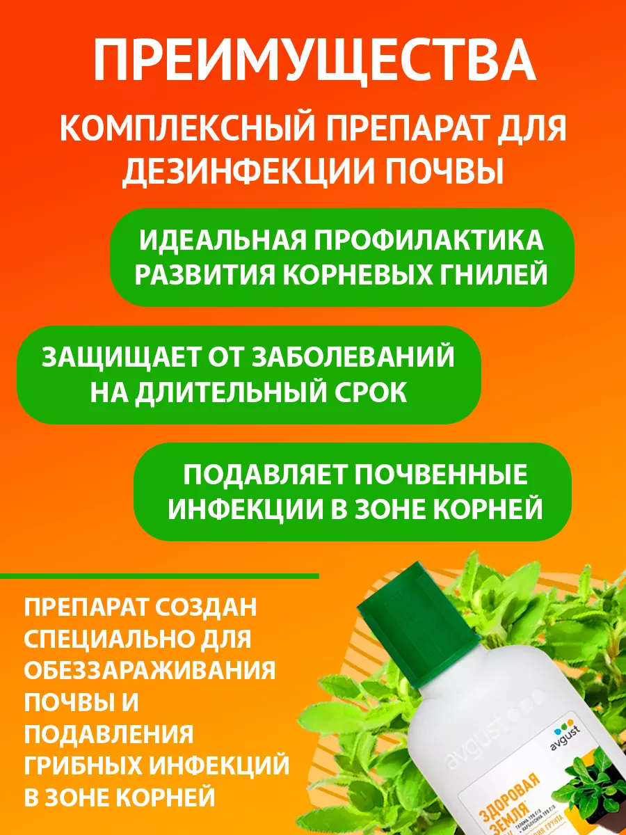 Лечащий фунгицид Здоровая земля, 50мл Август AVGUST 9243905 купить за 226 ₽  в интернет-магазине Wildberries