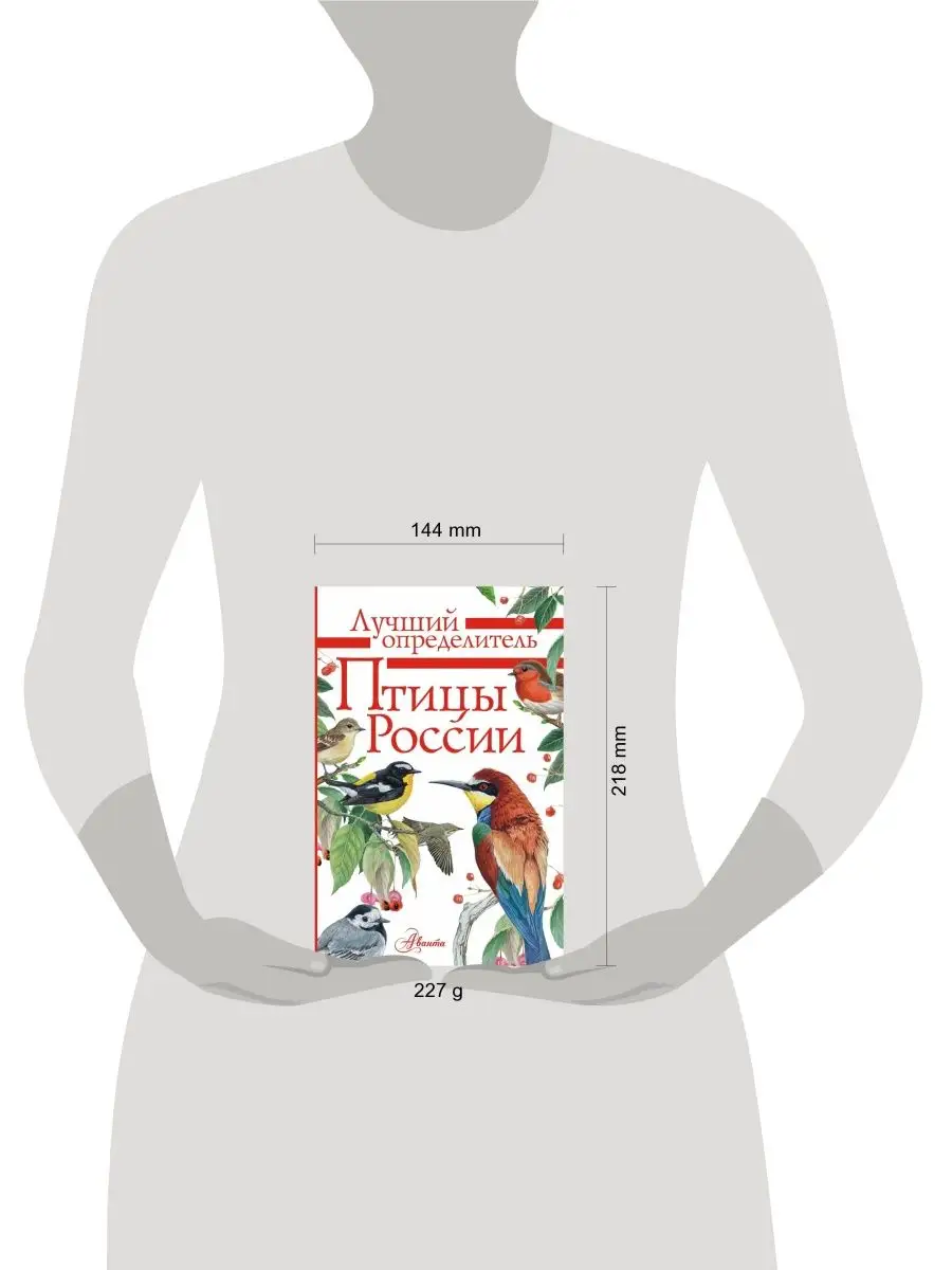 Птицы России/ Лучший определитель Издательство АСТ 9250119 купить за 424 ₽  в интернет-магазине Wildberries
