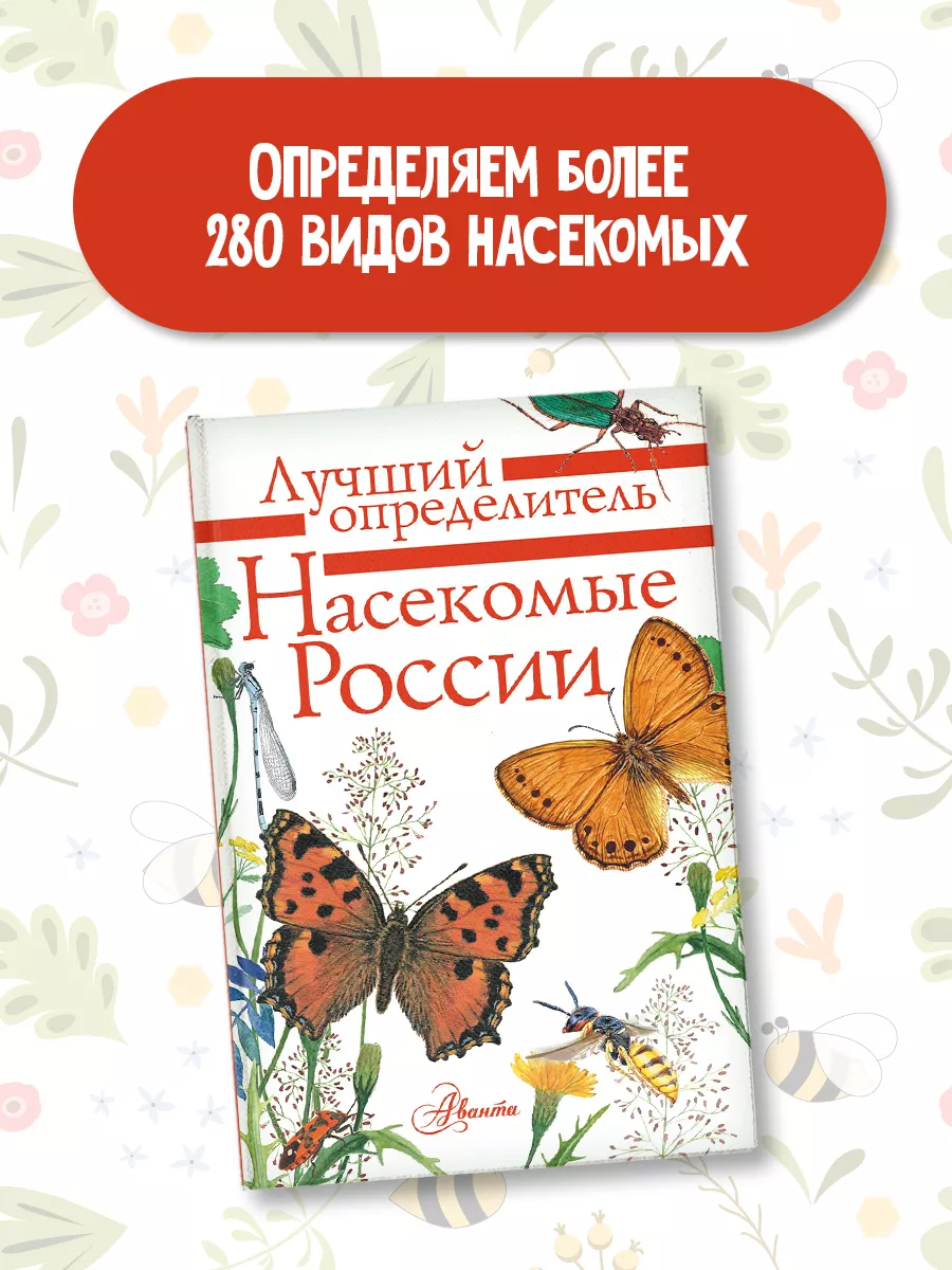 Насекомые России/ Лучший определитель Издательство АСТ 9250120 купить за  449 ₽ в интернет-магазине Wildberries