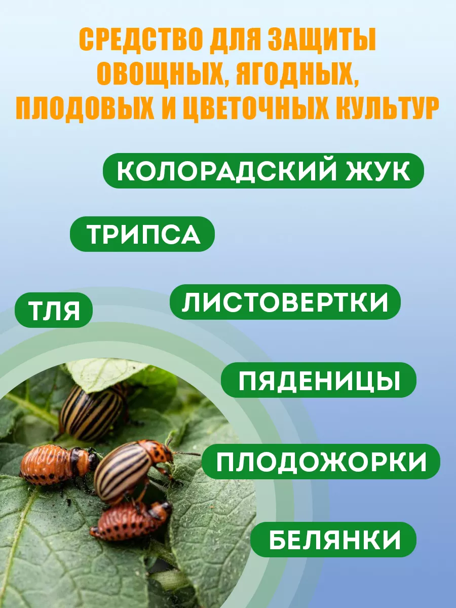 Препарат от тли и клещей ИСКРА БИО, 10 мл Грин Бэлт 9311408 купить в  интернет-магазине Wildberries