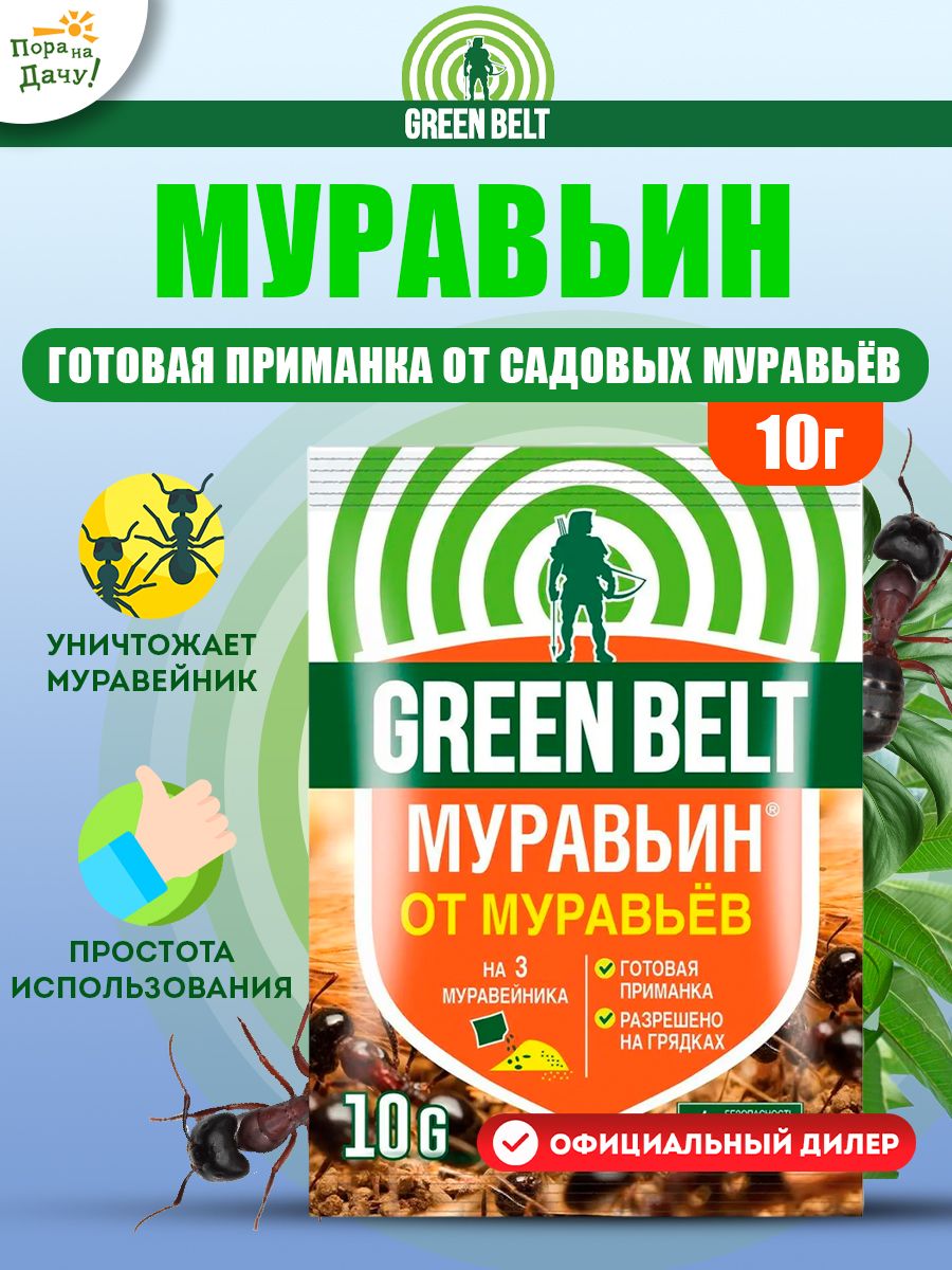 Green belt муравьин от муравьев