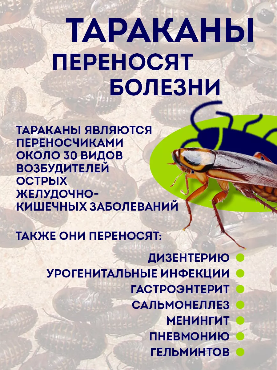 Отрава от тараканов, гель, 20 мл Чистый дом 9311431 купить за 147 ₽ в  интернет-магазине Wildberries