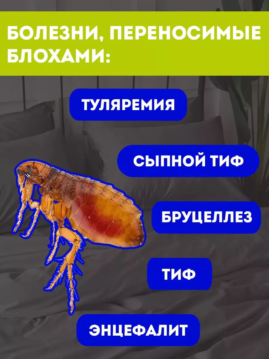 Средство от клопов постельных, от блох 400 мл Чистый дом 9311441 купить за  391 ₽ в интернет-магазине Wildberries