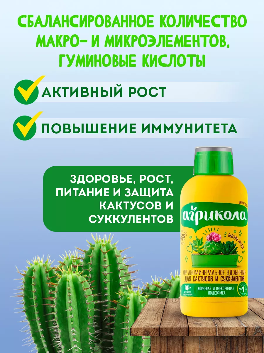 Удобрение для кактусов и суккулентов жидкое Аква 250 мл АГРИКОЛА 9312683  купить за 183 ₽ в интернет-магазине Wildberries