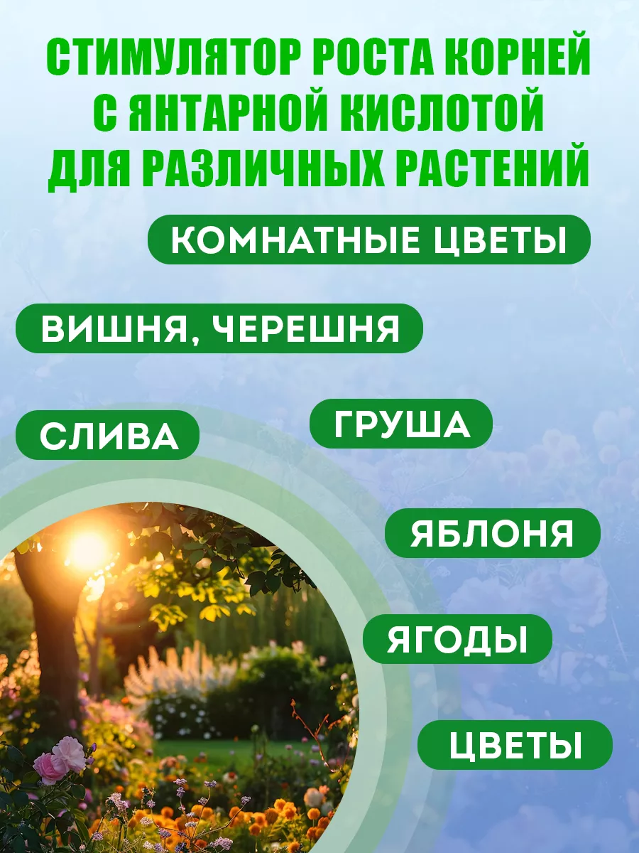 Стимулятор роста корней для сада и дома Корнерост, 10 г Грин Бэлт 9356366  купить в интернет-магазине Wildberries