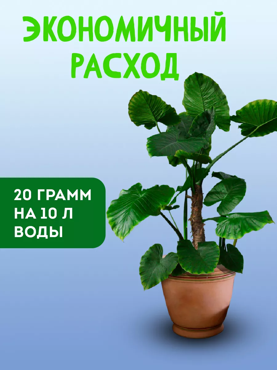 Удобрение для фикусов декоративных комнатных растений, 20 г АГРИКОЛА  9356381 купить в интернет-магазине Wildberries