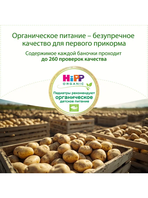Hipp Пюре овощное "Картошка", с 4 месяцев, 6х80г, 80 г, фото 3