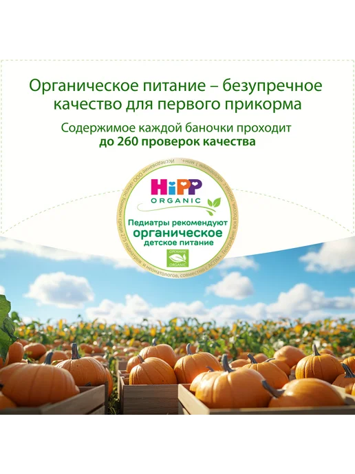 Hipp Пюре овощное "Тыква", с 5 месяцев, 6х80г, 80 г, фото 3