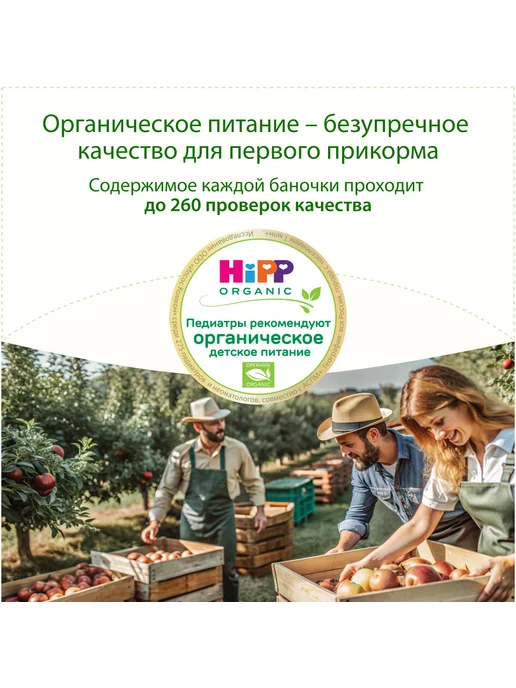Hipp Пюре фруктовое "Яблоко", с 4 месяцев, 6х80г, 80 г, фото 3