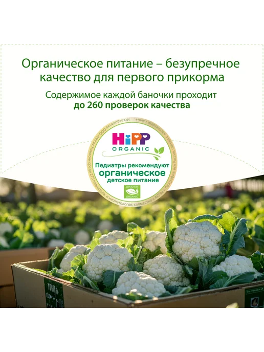 Hipp Пюре овощное "Цветная капуста", с 4 месяцев, 6х80г, 80 г, фото 3