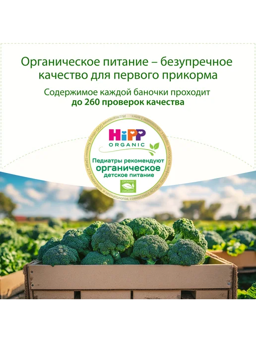 Hipp Пюре овощное "Брокколи", с 4 месяцев, 6х80г, 80 г, фото 3