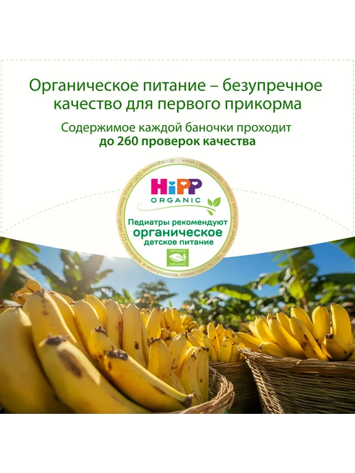 Hipp Пюре фруктовое "Банан", с 6 месяцев, 6х80г, 80 г, фото 3
