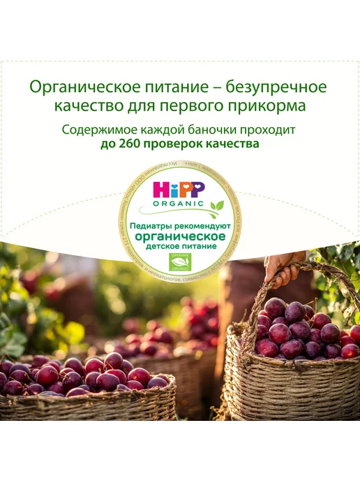 Hipp Пюре фруктовое "Слива", с 5 месяцев, 6х80г, 80 г, фото 3