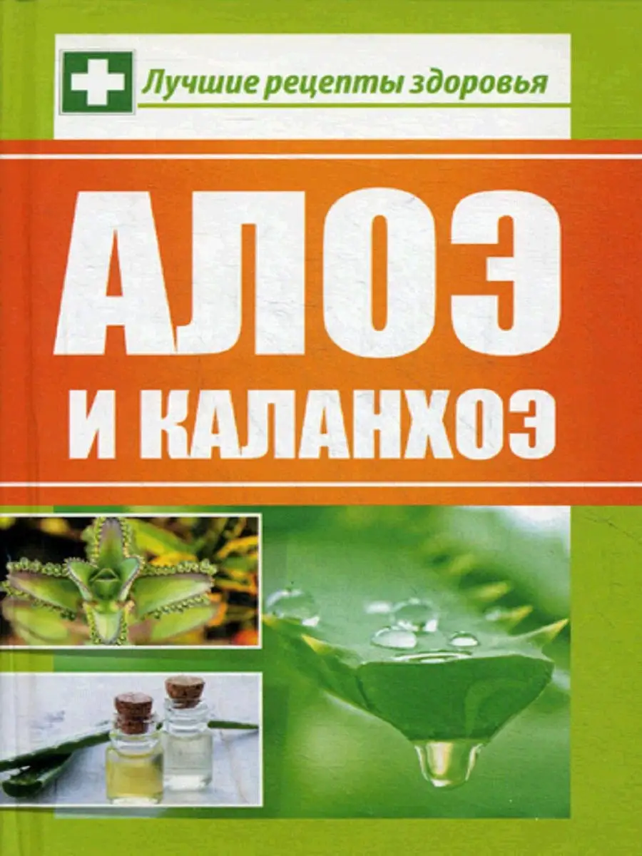 Алоэ и каланхоэ. Лучшие рецепты здоровья Виват 9429968 купить за 387 ₽ в  интернет-магазине Wildberries