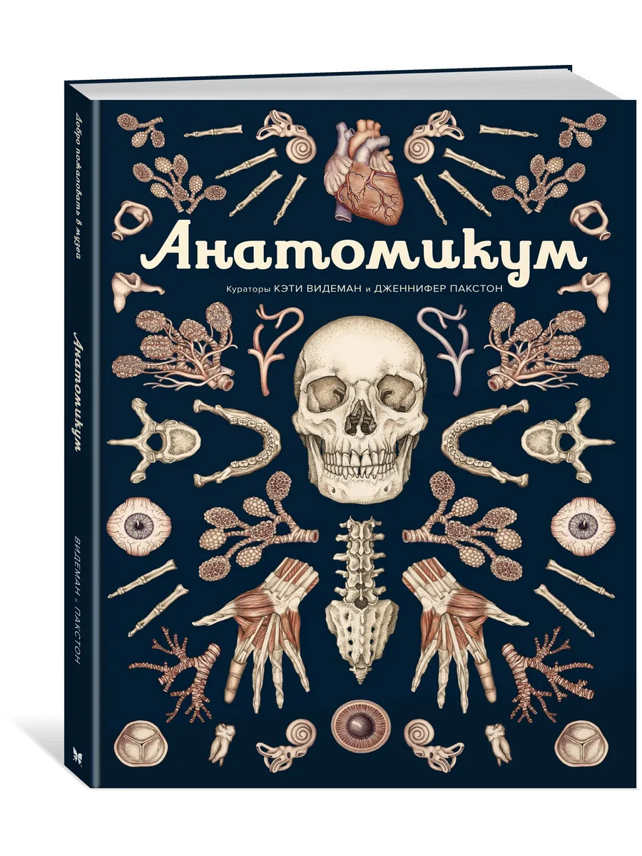 Анатомикум