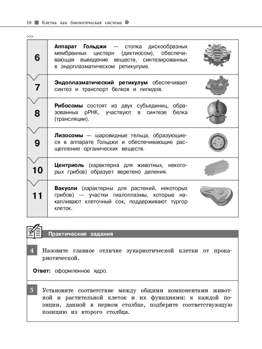 Биология Эксмо 9510328 купить за 412 ₽ в интернет-магазине Wildberries