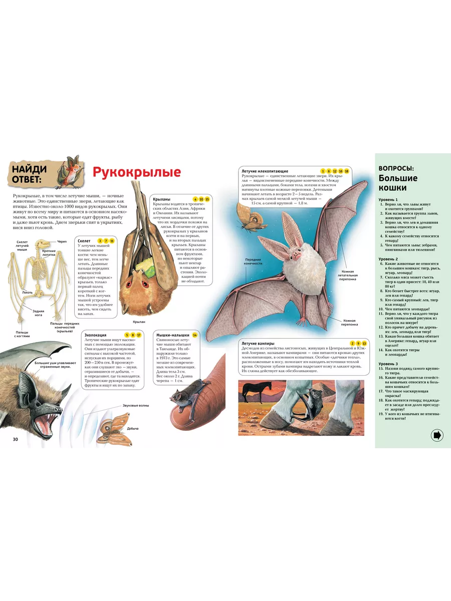 Интерактивная энциклопедия для школьнико Издательство Махаон 9511573 купить  за 598 ₽ в интернет-магазине Wildberries