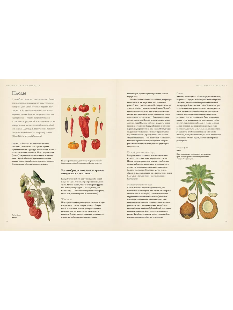 Растениеводство: флористика, цветоводство, садоводство | Лабиринт - Книги