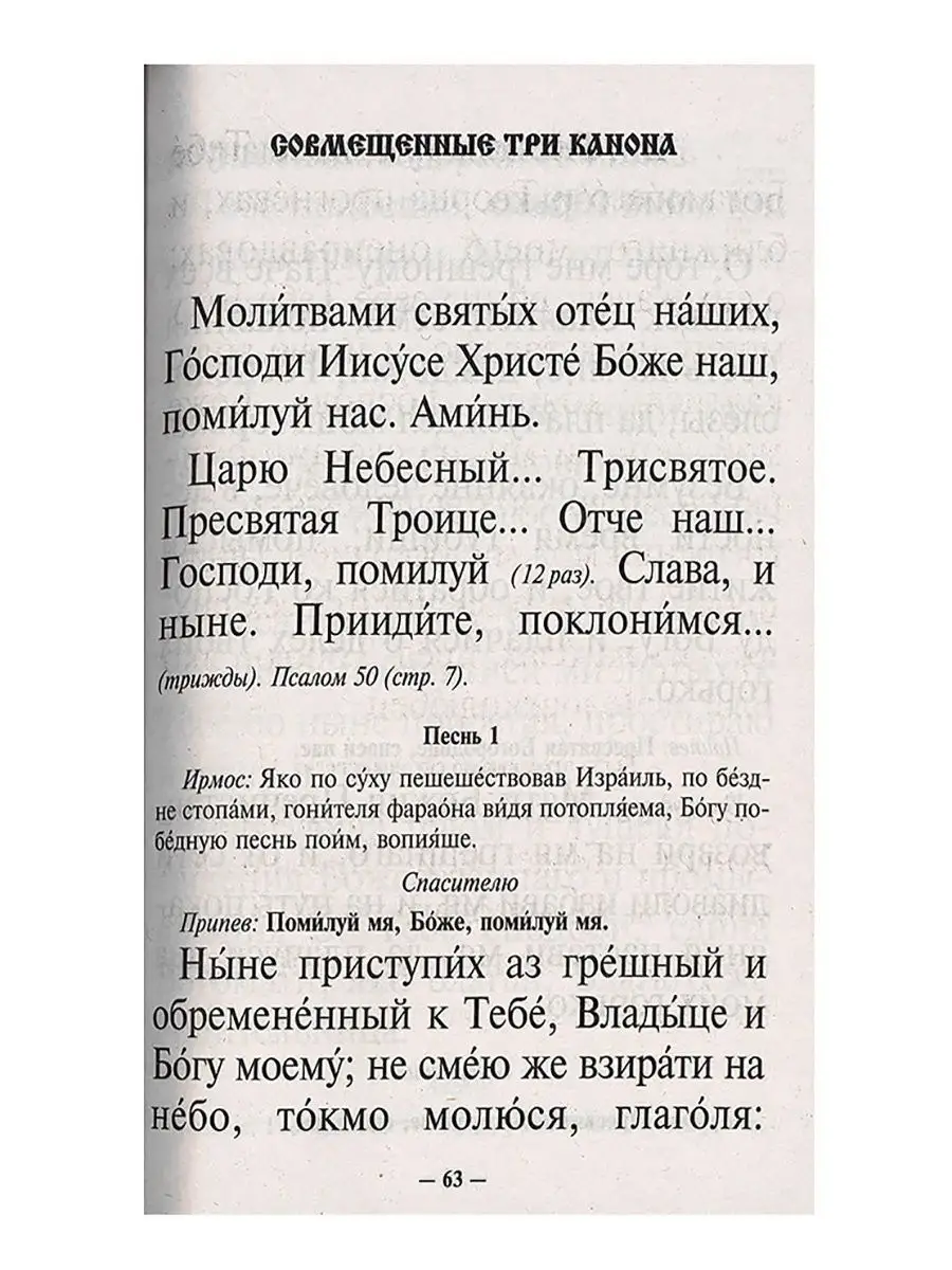 Молитвослов и Псалтирь крупным шрифтом Терирем 9534163 купить в  интернет-магазине Wildberries