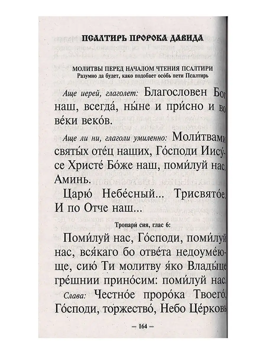 Молитвослов и Псалтирь крупным шрифтом Терирем 9534163 купить в  интернет-магазине Wildberries