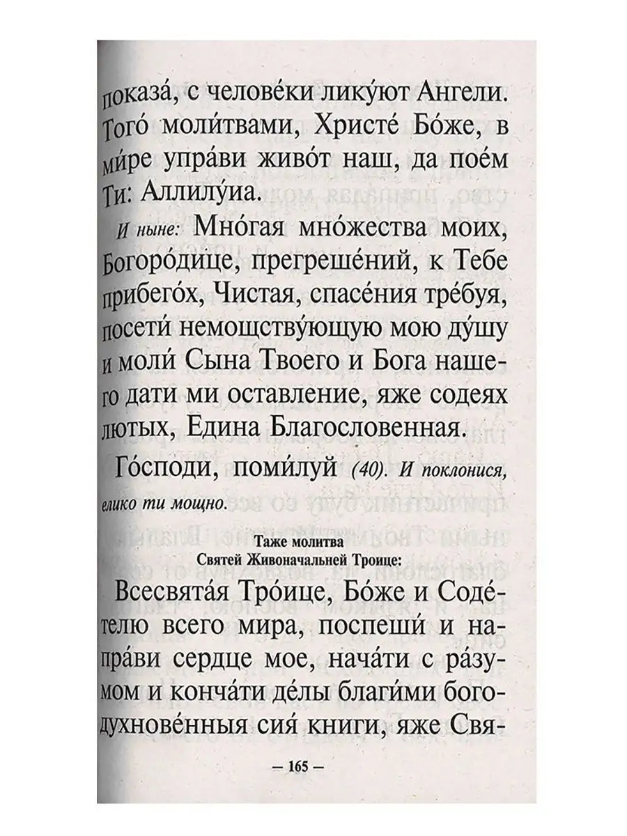 Молитвослов и Псалтирь крупным шрифтом Терирем 9534163 купить в  интернет-магазине Wildberries