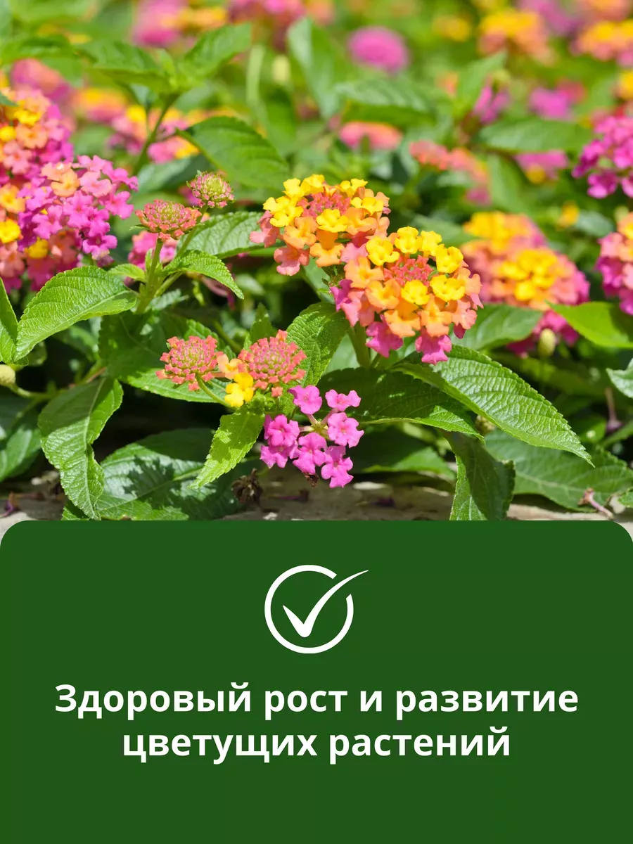 Удобрение для цветущих растений Цветочный рай 200 мл Буйские Удобрения  9534536 купить за 107 ₽ в интернет-магазине Wildberries