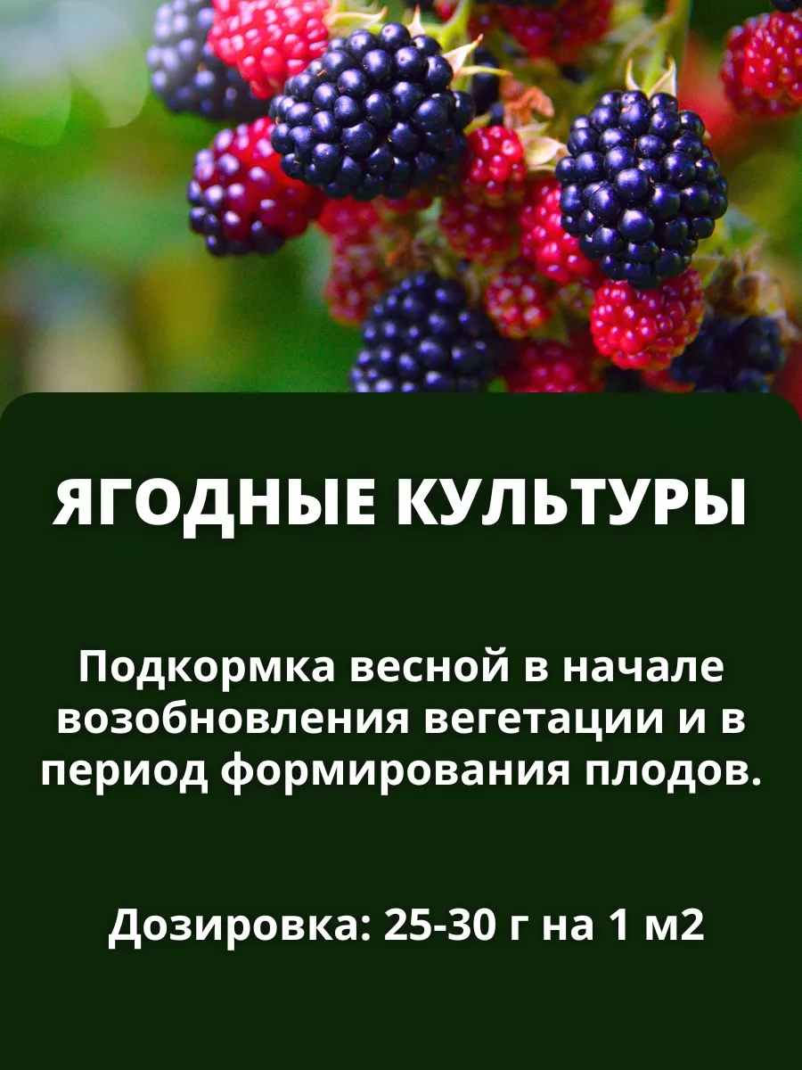 Комплексное минеральное удобрение Азофоска, 1 кг Буйские Удобрения 9534550  купить за 184 ₽ в интернет-магазине Wildberries