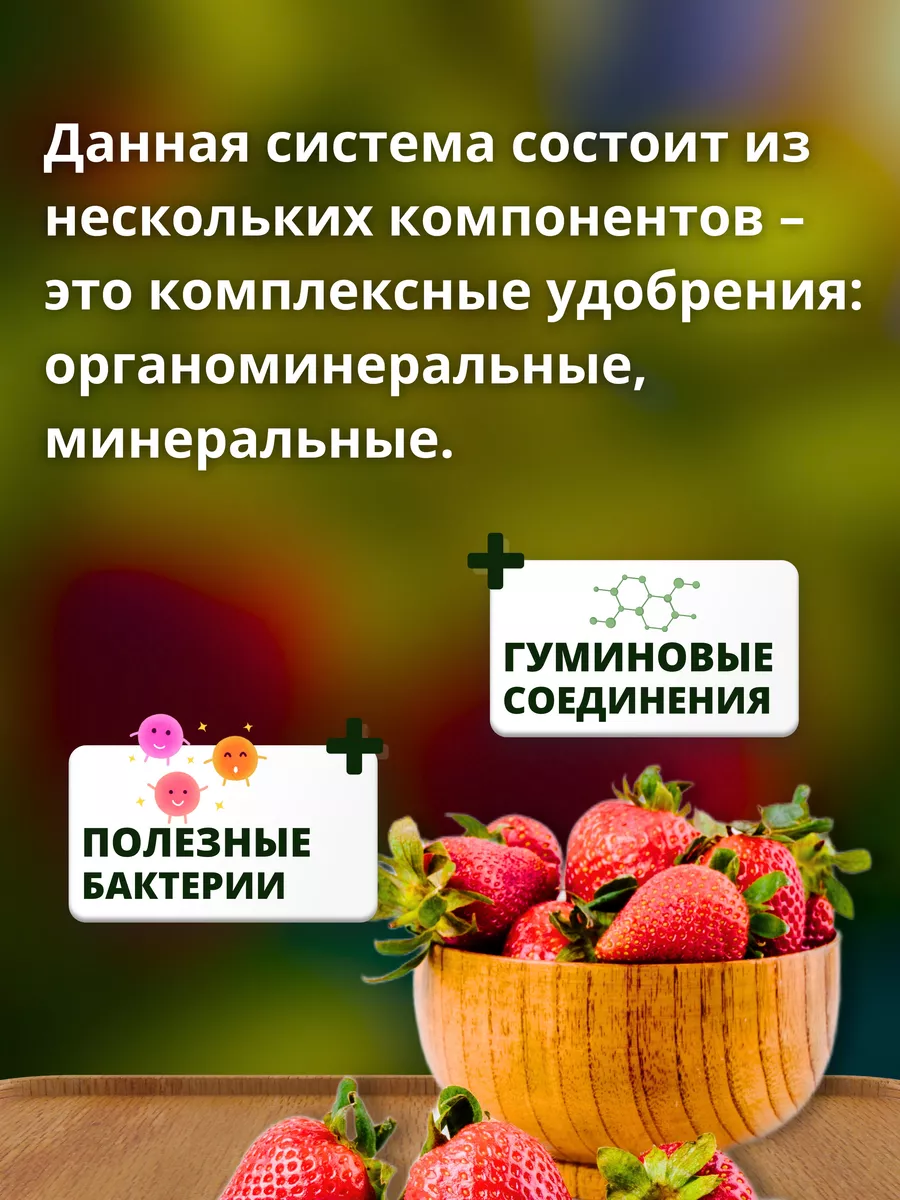 Удобрения Система питания для Клубники 2,24 кг Буйские Удобрения 9551483  купить за 503 ₽ в интернет-магазине Wildberries