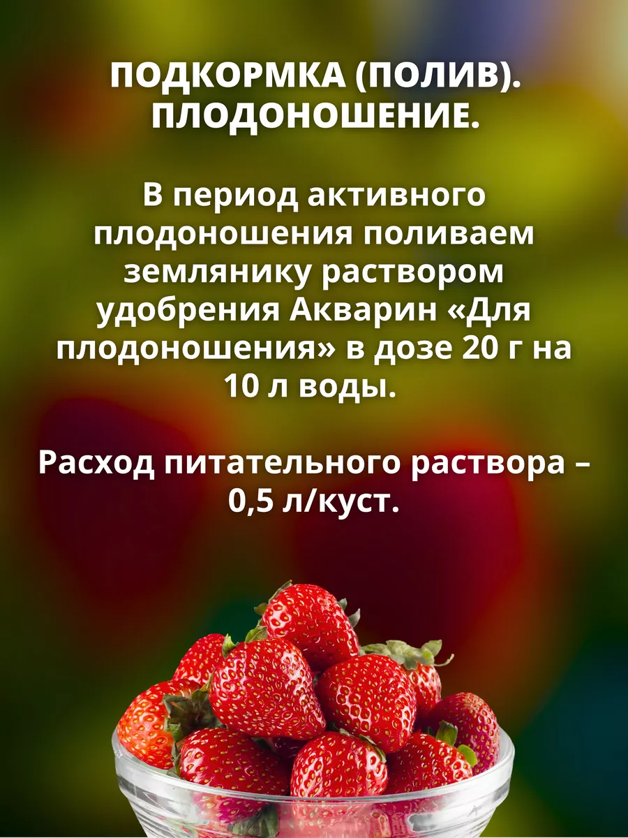 Удобрения Система питания для Клубники 2,24 кг Буйские Удобрения 9551483  купить за 503 ₽ в интернет-магазине Wildberries