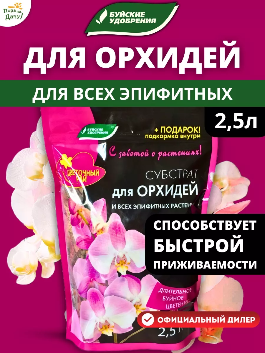 Подробности секс-скандала в ночном клубе Коблево: за порно с подростками уволили весь персонал