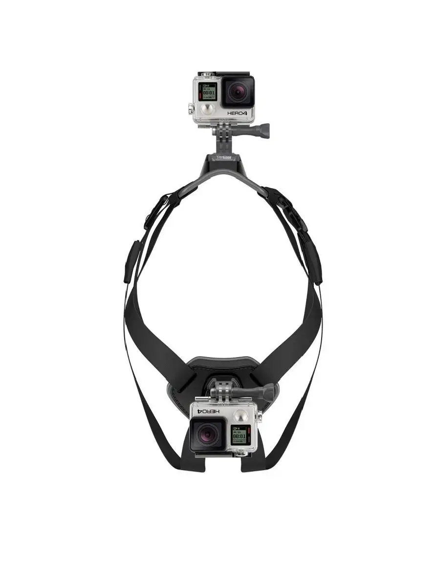 Gopro dog harness store argos