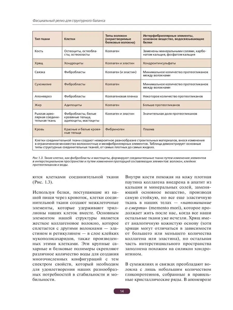 МЕДПРОФ / Фасциальный релиз для структурного баланса Эксмо 9582849 купить  за 3 864 ₽ в интернет-магазине Wildberries