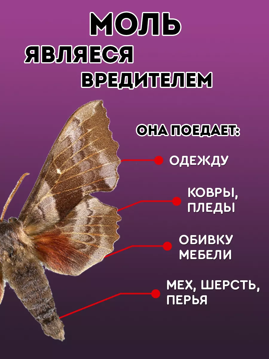 Средство от моли, аэрозоль 300 мл Dr. Klaus 9588198 купить за 304 ₽ в  интернет-магазине Wildberries