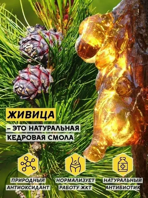 Мёд семьи Мамдеевых Мед с кедровой живицей, 500 г, без сахара, сладости, 500 г, фото 3
