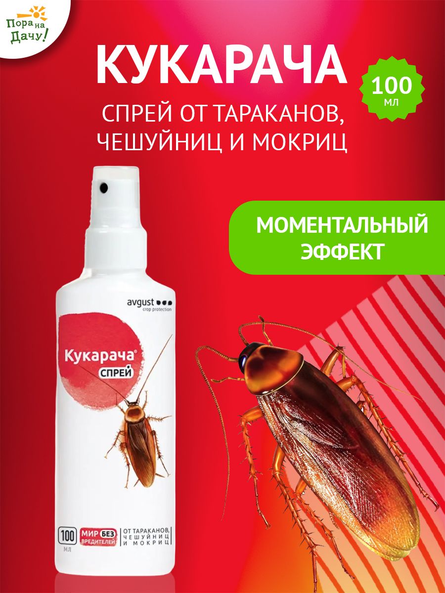 Средство от тараканов в доме отрава спрей Кукарача 100мл AVGUST 9614622  купить за 371 ₽ в интернет-магазине Wildberries