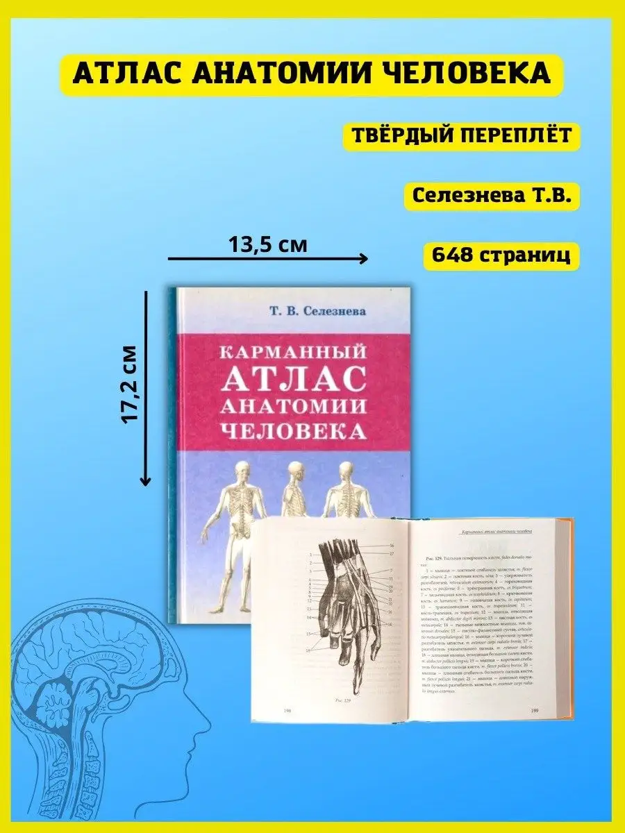 Карманный атлас анатомии человека. Справочник медика Хит-книга 9629792  купить за 428 ₽ в интернет-магазине Wildberries