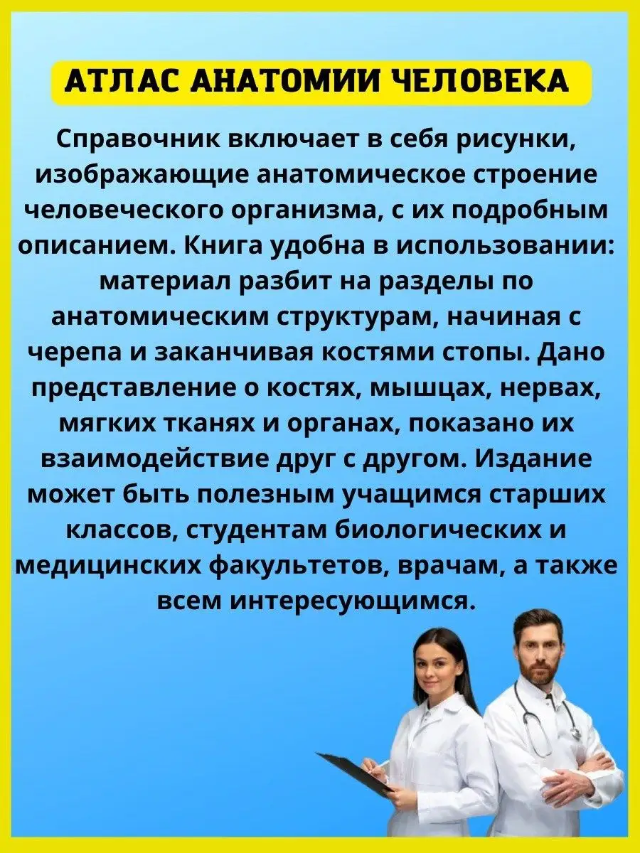 Карманный атлас анатомии человека. Справочник медика Хит-книга 9629792  купить за 428 ₽ в интернет-магазине Wildberries