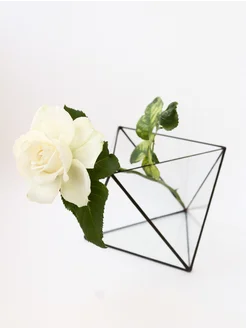 Флорариум стеклянный Октаэдр 15 Glass Flowers 9649010 купить за 809 ₽ в интернет-магазине Wildberries