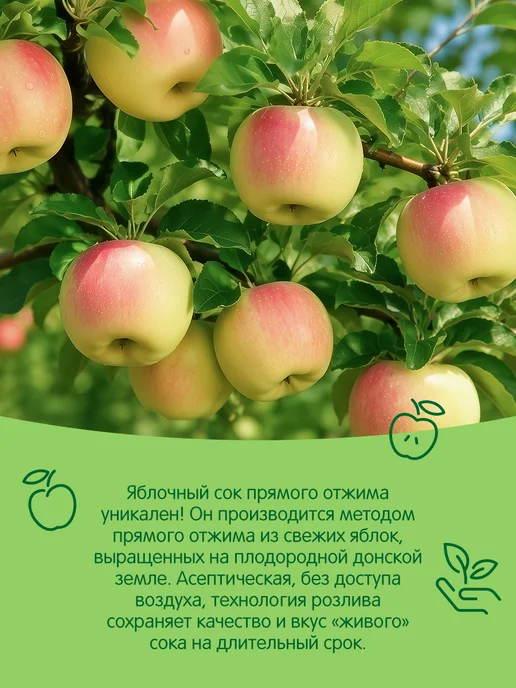 Сады Придонья Сок яблочный прямого отжима 0,125л (18шт), 125 мл, 18 шт, фото 3