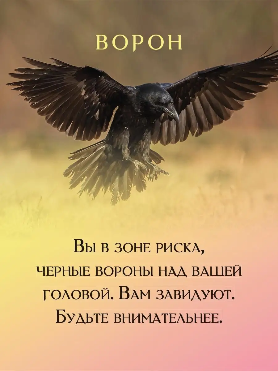 Предсказательные карты Степановой Рипол-Классик 9678497 купить в  интернет-магазине Wildberries