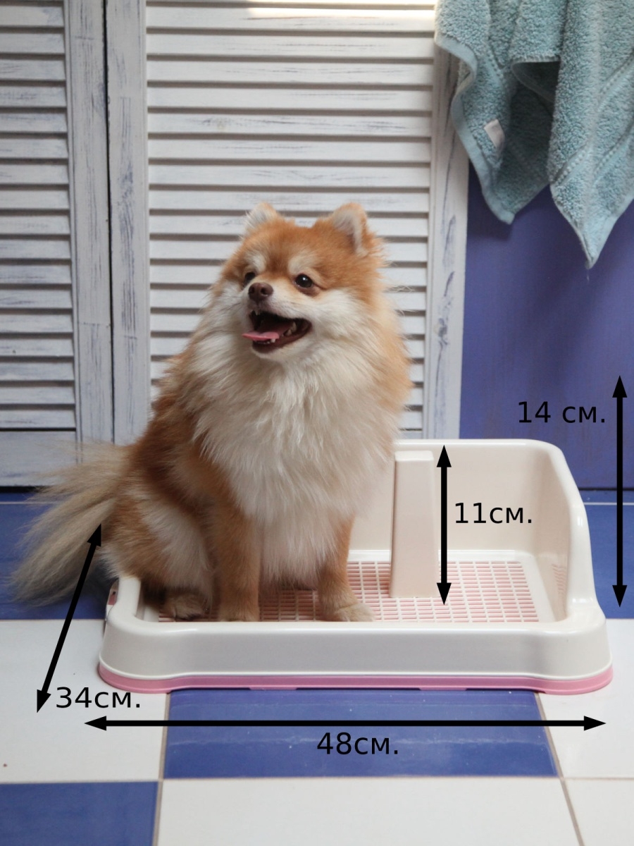 Лоток для собак со столбиком и сеткой 48*34*14 Шурум-Бурум 9687538 купить  за 1 212 ₽ в интернет-магазине Wildberries