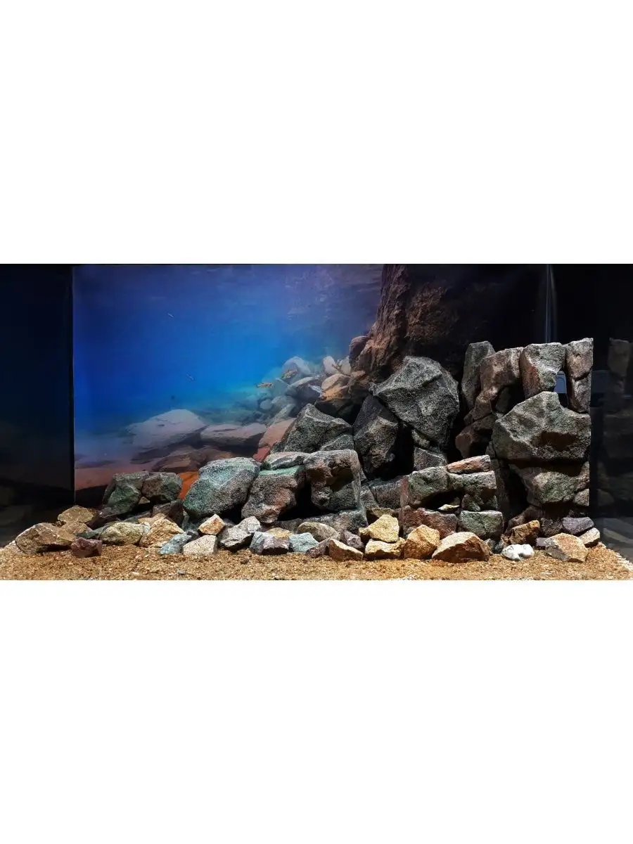 Чистка аквариумных камней, коряг и декора