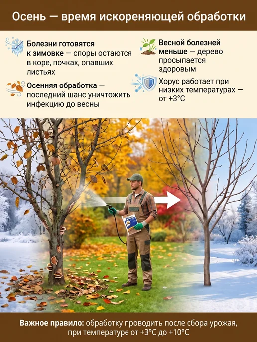 Зеленая Аптека Садовода Хорус фунгицид защита от болезней для деревьев плодовых, 2 г, 2 г, фото 2