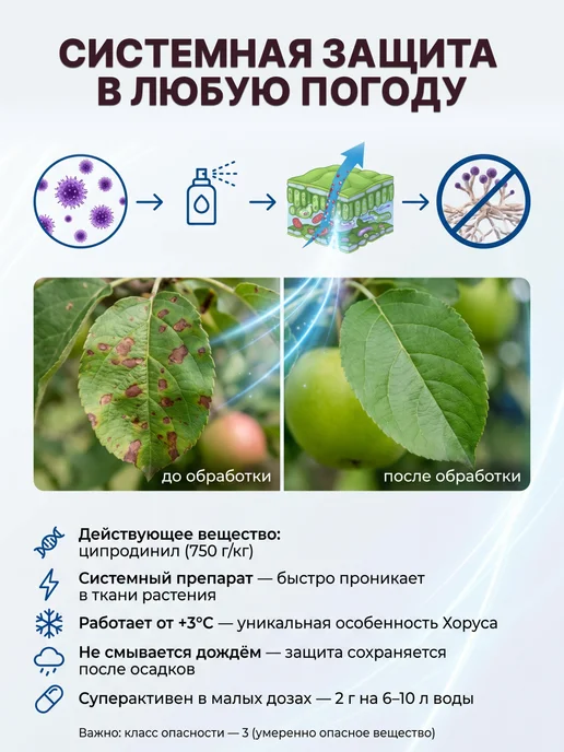 Зеленая Аптека Садовода Хорус фунгицид защита от болезней для деревьев плодовых, 2 г, 2 г, фото 3
