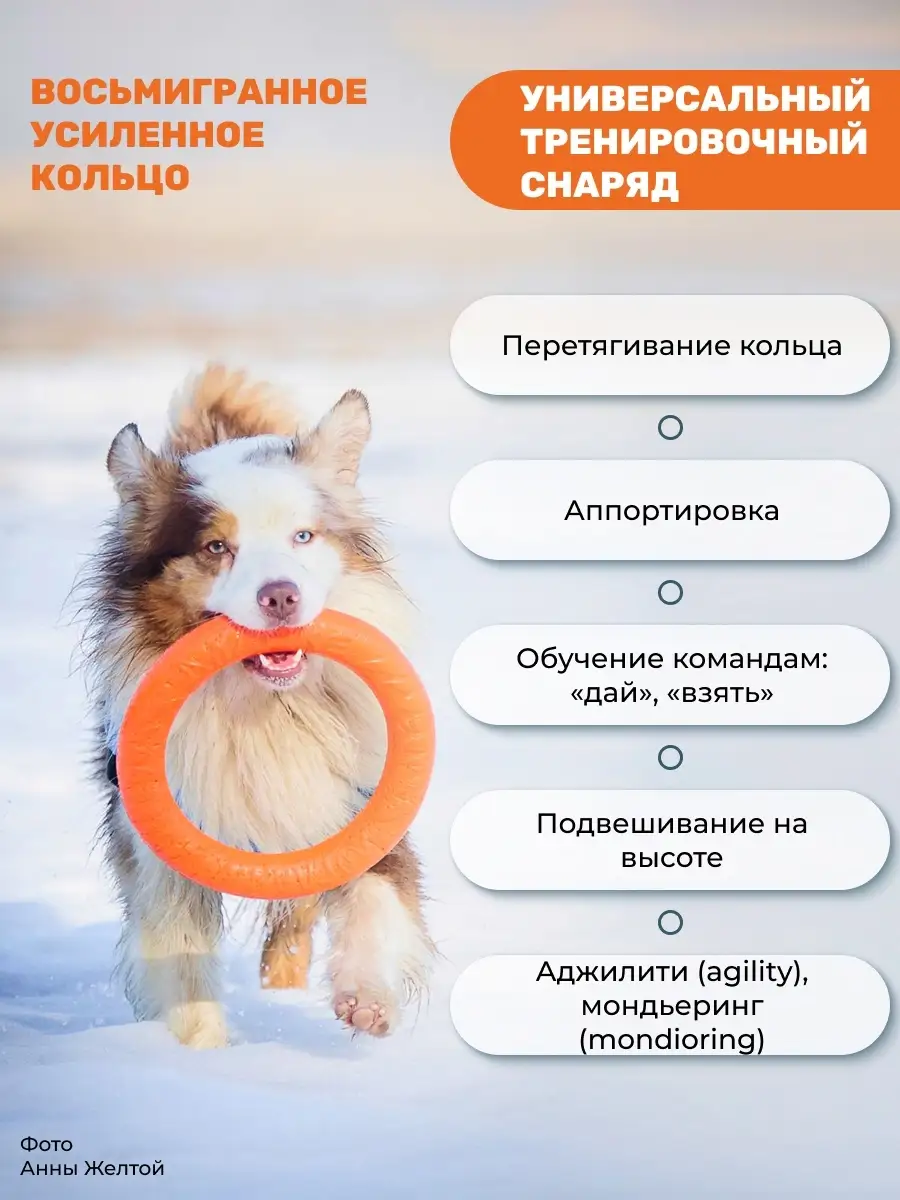 Игрушка для собак, пуллер кольцо прочный 30.5см DOGLIKE 9775907 купить за  699 ₽ в интернет-магазине Wildberries