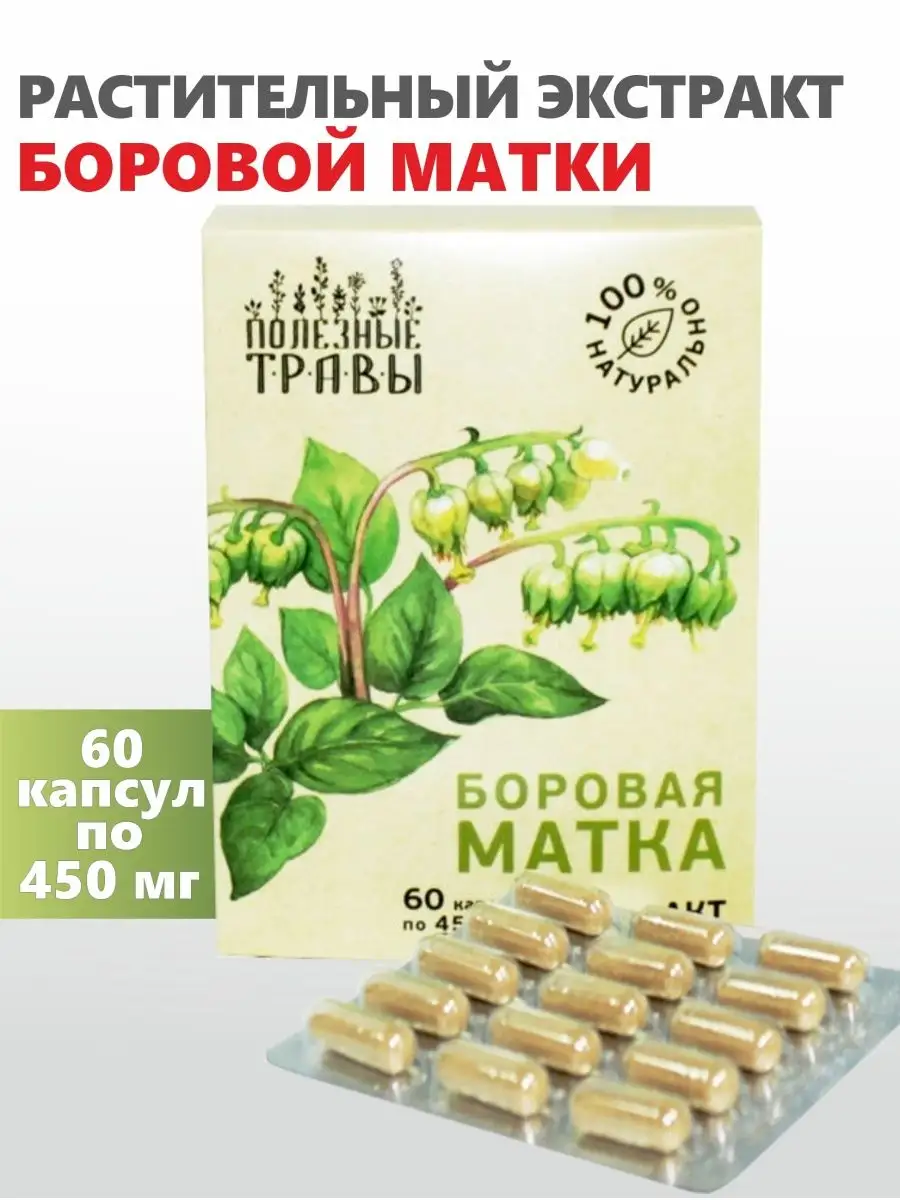 Боровая матка, капсулы Алтайские традиции 9805245 купить за 873 ₽ в  интернет-магазине Wildberries