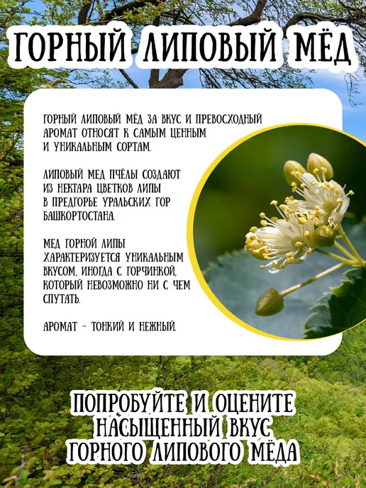 Мёд семьи Мамдеевых Горный липовый мед, 1000 г, ЗОЖ, 1 кг, фото 2