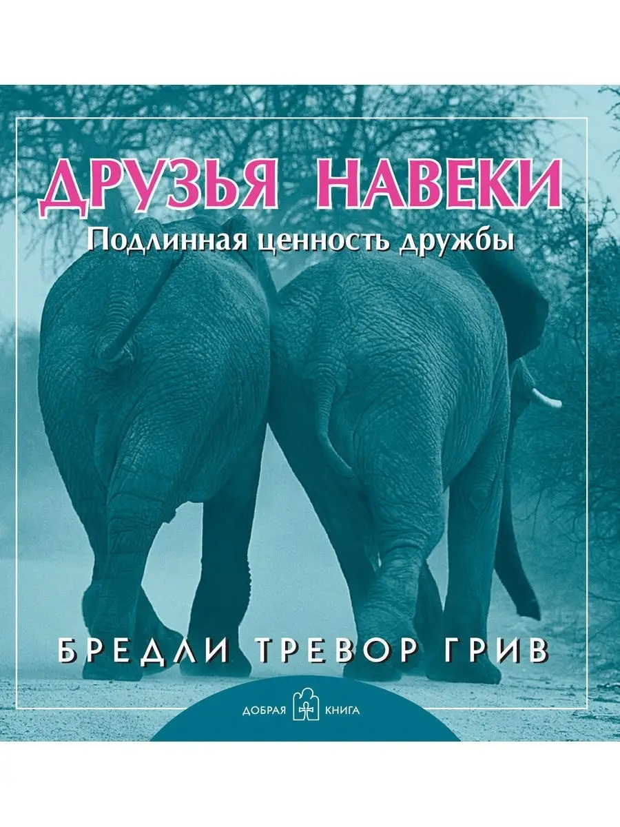 ДРУЗЬЯ НАВЕКИ. Подлинная ценность дружбы / Б. Т. Грив Добрая книга 9860637  купить за 494 ₽ в интернет-магазине Wildberries